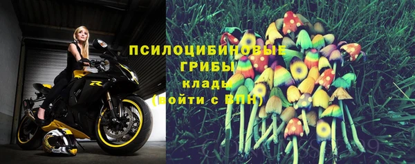 apvp Карталы